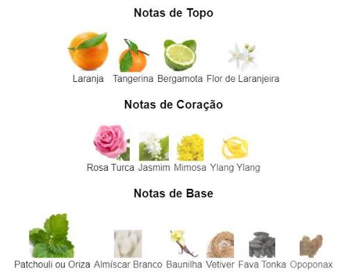 Pirâmide Olfativa (Perfume Inspirado)